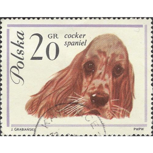 POLAND, DOG, Cocker Spaniel, white 1963, 20gr