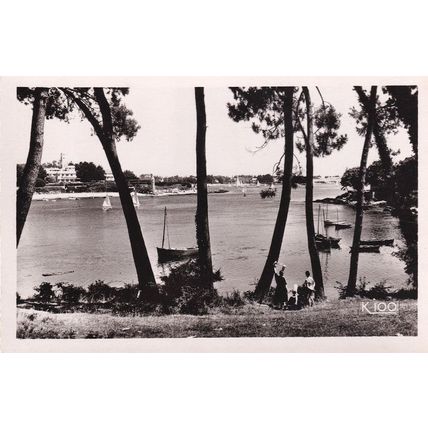 Sailing Boats in Near Silhouette Real Photo Benodet Marine Postcard