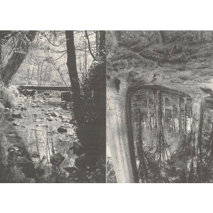 Blaise Bristol Beechwood 2x Award Woods Photo Postcard s