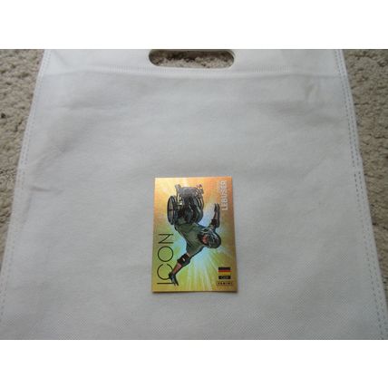 Panini Paris 2024 Olympics - 49 D.Lebuser France Para Skateboarding Trading Card
