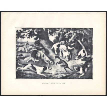 HUNTING - DEATH OF THE FOX 1890 Hounds VICTORIAN ENGRAVING