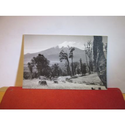 OSORNO VOLCANO, CHILE unused postcard =