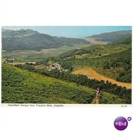 Dolgellau - Mawddach Estuary Precipice Walk 1976 Dennis