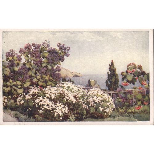 Portugal Postcard 1981 - Flowers and Gardens Of Madeira