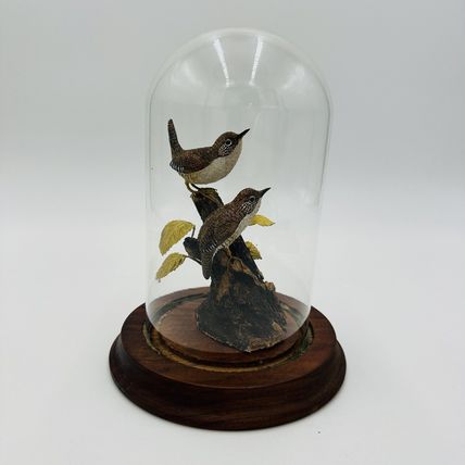 Wood House Wren Bird Signed By Artist William B # 30 Vintage Hand Carved