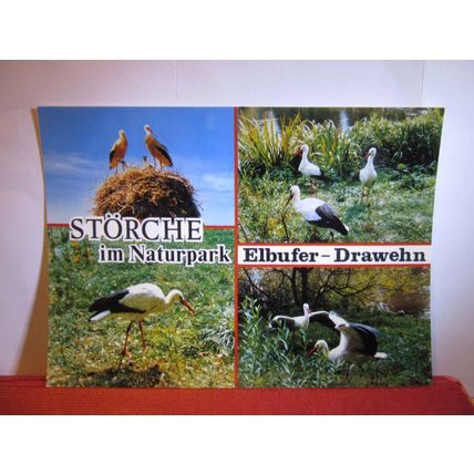 STORKS AT NATURPARK, ELBUFER DRAWEHN, GERMANY unused postcard #