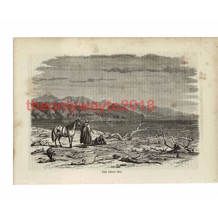Dead Sea, Holy Land, Book Illustration (Print), 1861