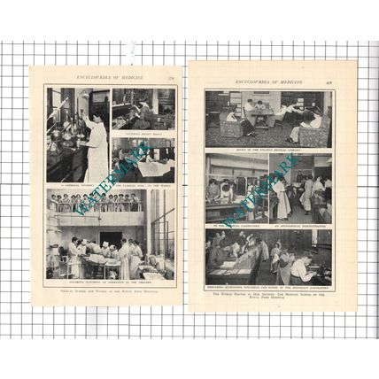 Royal Free Hospital London Medical School For Women - c.1914 Two-Part Cutting