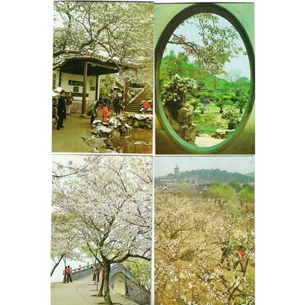 10 postcards lot China 中国 Jiangsu 江苏 Wuxi 无锡 views buildings hotel gardens 1986
