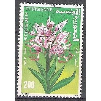 Tunisie 1994 Michel 1288 O Cote (2005) 0.40 Euro Fleur Orchis singe Cachet rond