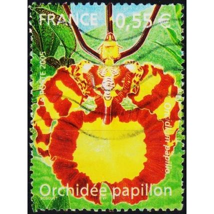 France. 2005 55c (Orchid) Used