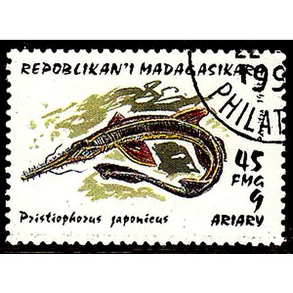 Madagascar 1993 Marine Life 45f Used Stamp Fish Shark