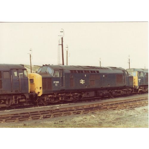Railway Photo BR Class 37 37283 Frodingham Depot 1977 Diesel Loco Shed