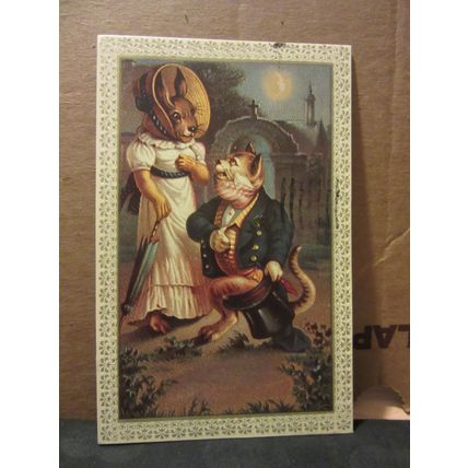 THE CHESHIRE CAT?. Alice in wonderland used American postcard 1974 pm =