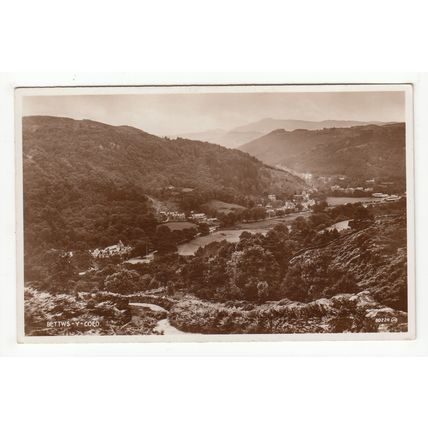 Bettws-y-Coed Postcard RP Wales 80229