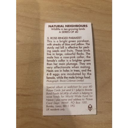 1992 Brooke Bond Tea Card, Natural Neighbours: 5. Rose-Ringed Parakeet