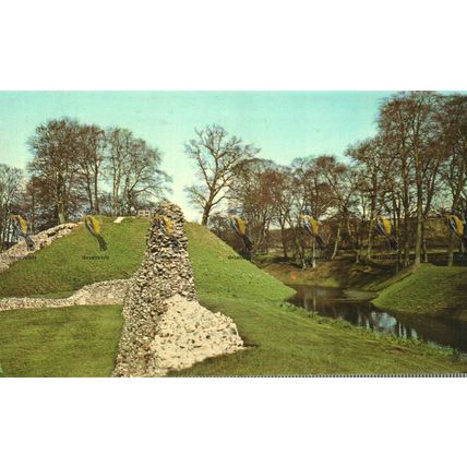 Berkhamsted Castle, Herts, Postcard, 1980