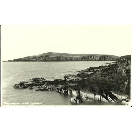 Wales CARDIGAN ISLAND Postcard (Judges 17699)