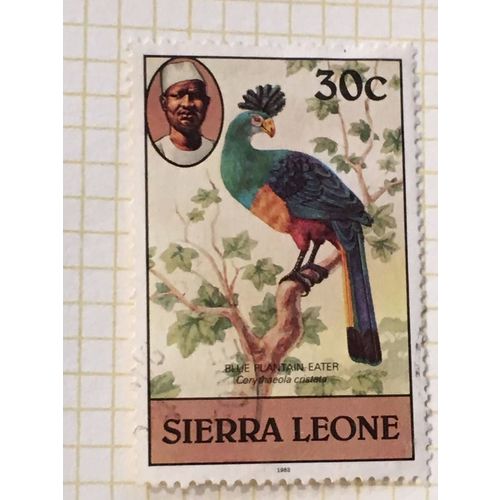Sierra Leone 1983 Birds 30c Great Blue Turaco Used SG 768 postage stamp queen