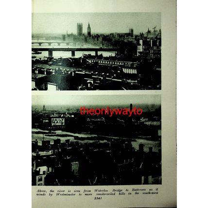 Cheyne Walk, Chelsea, London, (View From Bush House, Reverse), Book Illustration