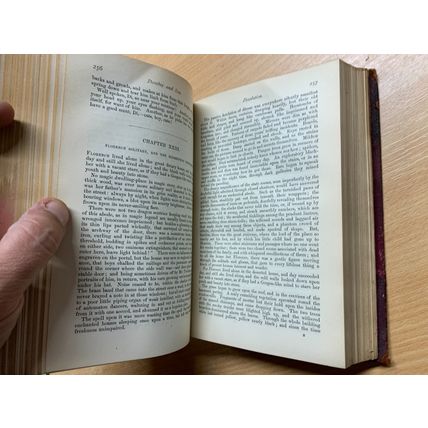 c1880 CHARLES DICKENS DOMBEY & SON DAILY NEWS MEMORIAL EDITION ANTIQUE BOOK (P5)