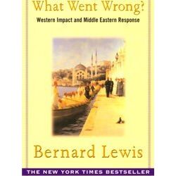 What Went Wrong?