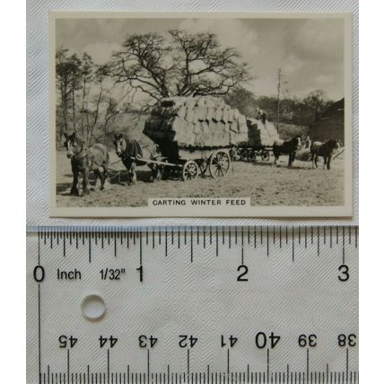 1938 Senior Service Our Countryside 8 Carting Winter Feed