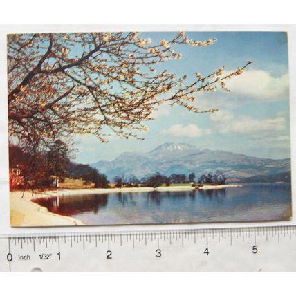1950 postcard Loch Lomond & Ben Lomond