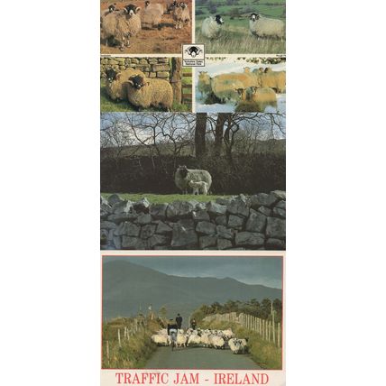 Highlands & Yorkshire Dales Sheep Irish Traffic Jam 3x Postcard s