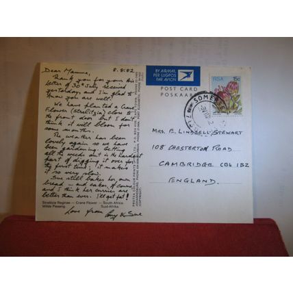 CRANE FLOWER OF SOUTH AFRICA used postcard 1982 postmark =