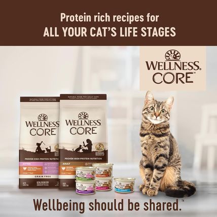 Wellness CORE Pate Adult Wet Cat Food, Natural, Protein-Rich, Grain Free, 5.5 Ou