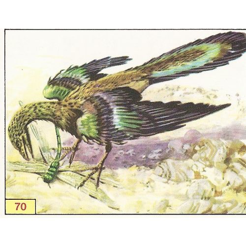 Panini's Dinosaurs Sticker Collection - Sticker No. 70