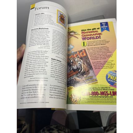 National Geographic Magazine June 2001 Asia's Last Lions - Vintage Collectable