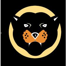10 Million Wakanda Inu (WKD/BNB) Crypto Currency [100 Million WKD]