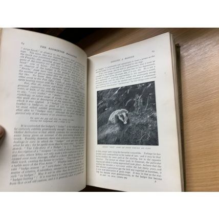 JAN TO JUNE 1909 THE BADMINTON MAGAZINE SPORTS BOUND VOL 28 BOOK (P12) AA