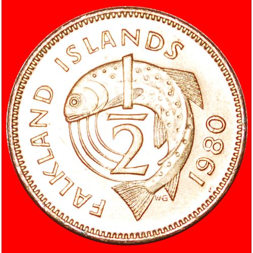 Ⰶ FISH (1974-1983): FALKLAND ISLANDS ★ 1/2 PENNY 1980! LOW START ★ NO RESERVE!