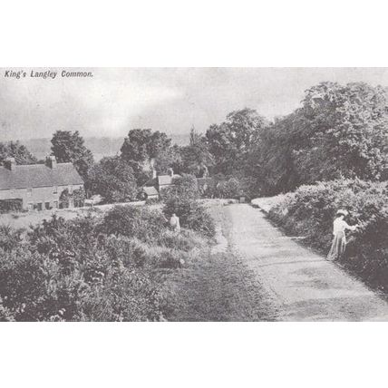Picking Flowers in 1904 at Kings Langley Common Herts Rare Museum Postcard
