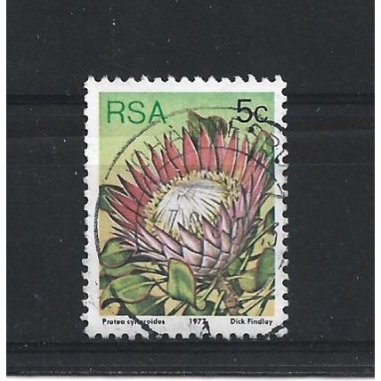SouthAfrica.SG418 5c Protea Cynaroides.Fine Used.Sep25r