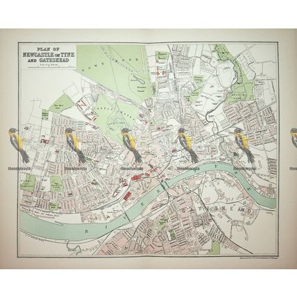 Newcastle & Gateshead, Northumberland, Map (Plan), Book Illustration, 1895