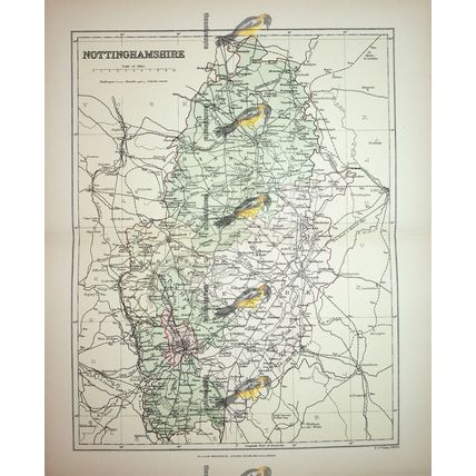 Nottinghamshire, England, Map, Book Illustration (Print), 1895