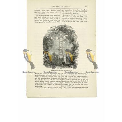 Alnwick Castle, Brislee Tower, Northumberland, Book Illustration (Print), 1891