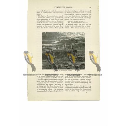 Tynemouth Priory Ruins, Northumberland, Book Illustration (Print), 1891