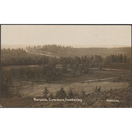 Barossa Common, Camberley, Surrey, c.1910s - WH Applebee RP Postcard