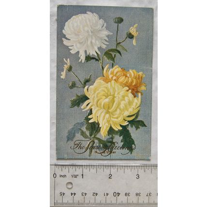 pre 1918 postcard The Seasons Greetings