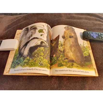 Little Golden Book Wild Animals By Feodor Rojankovsky 5.0 Very Good/Fine 1970