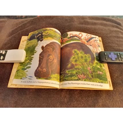 Little Golden Book Wild Animals By Feodor Rojankovsky 5.0 Very Good/Fine 1970