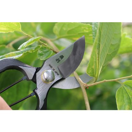 KAKURI Japanese Pruning Shears for Gardening Heavy Duty 8", Made in JAPAN, Profe