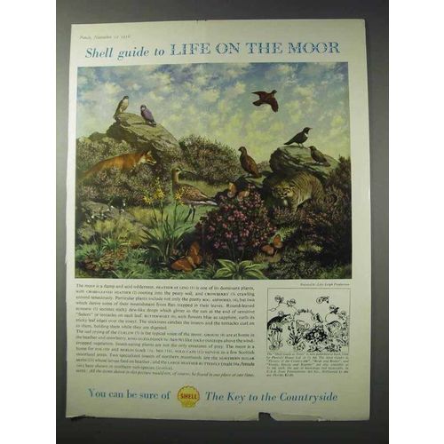1958 Shell Chemicals Ad - Life on the Moor