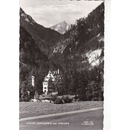 Schloss Leopoldstein Austria Postcard posted 1961 VGC