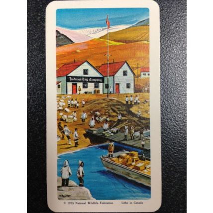 Red Rose Tea Card - Blue Ribbon The Arctic Series 16 - Set of 10 cards